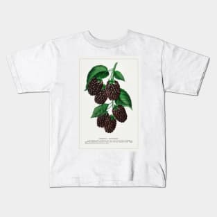 Lucretia Dewberry lithograph (1900) Kids T-Shirt